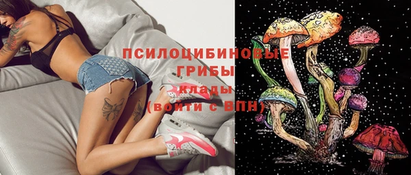 стафф Абаза